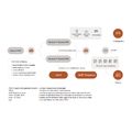 P550 PMS License купить в Минске. Доставка по Беларуси