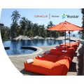 P560 PMS License купить в Минске. Доставка по Беларуси