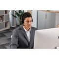 VT FLOW Link купить в Минске. Доставка по Беларуси